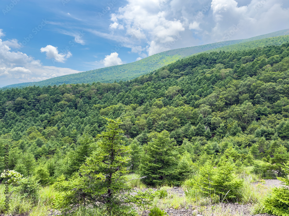 Obraz premium 夏の太陽に照らされる緑豊かな山肌と青空