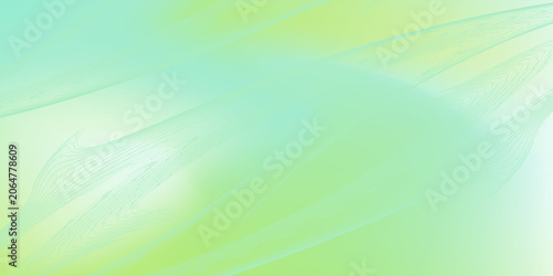 Fotografie Light green and lime yellow wavy lines