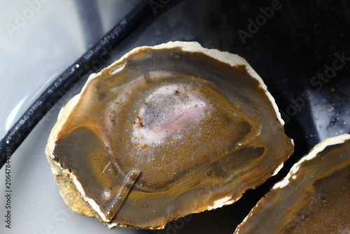 Принти на полотні Raw flint concretion showing natural abstract earthy patterns on a freshly cut s