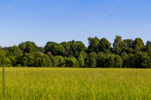 Fotografi Vibrant green meadow stretching towards a dense forest line under a clear blue s