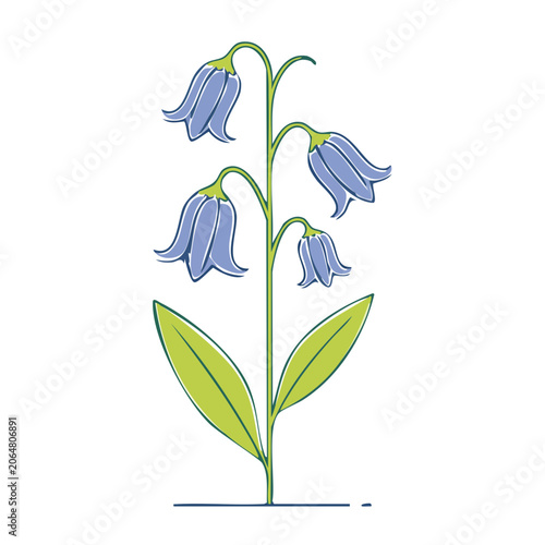 Bluebell flowers flat vector illustration