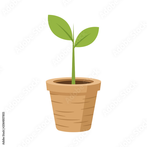 Young Plant Growing in a Terracotta Pot