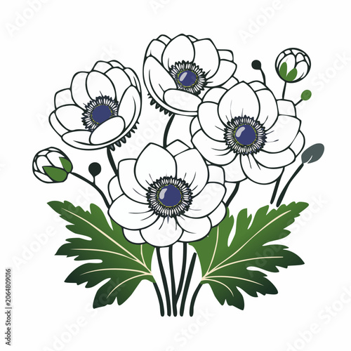 White Anemone Flowers with Green Leaves Illustration