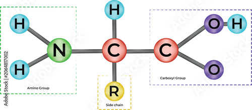Amino Acid Chemical Structure Illustration