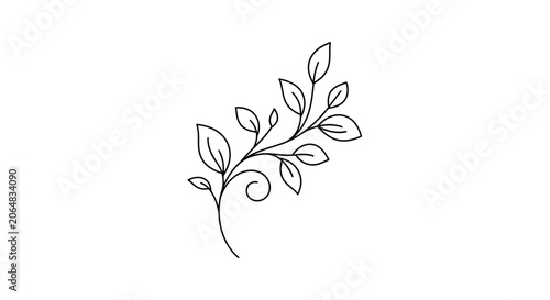 Simple line drawing of a leaf.
