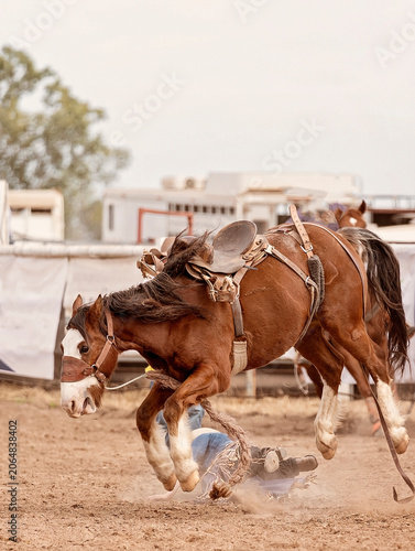 Foto Saddle Bronc Riding At An Australian Country Rodeo