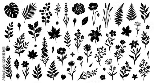 Obraz na plátně Create a vector illustration collection of hand drawn floral silhouettes displayed as individual botanical icons scattered naturally across a solid white background