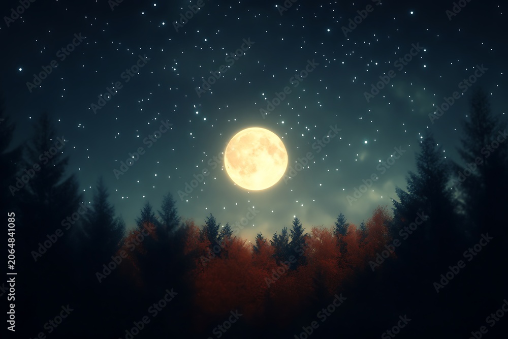 Fototapeta premium Full moon illuminating a serene forest at night