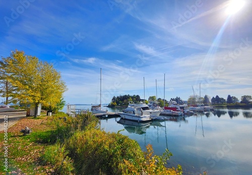 boats in the harbor