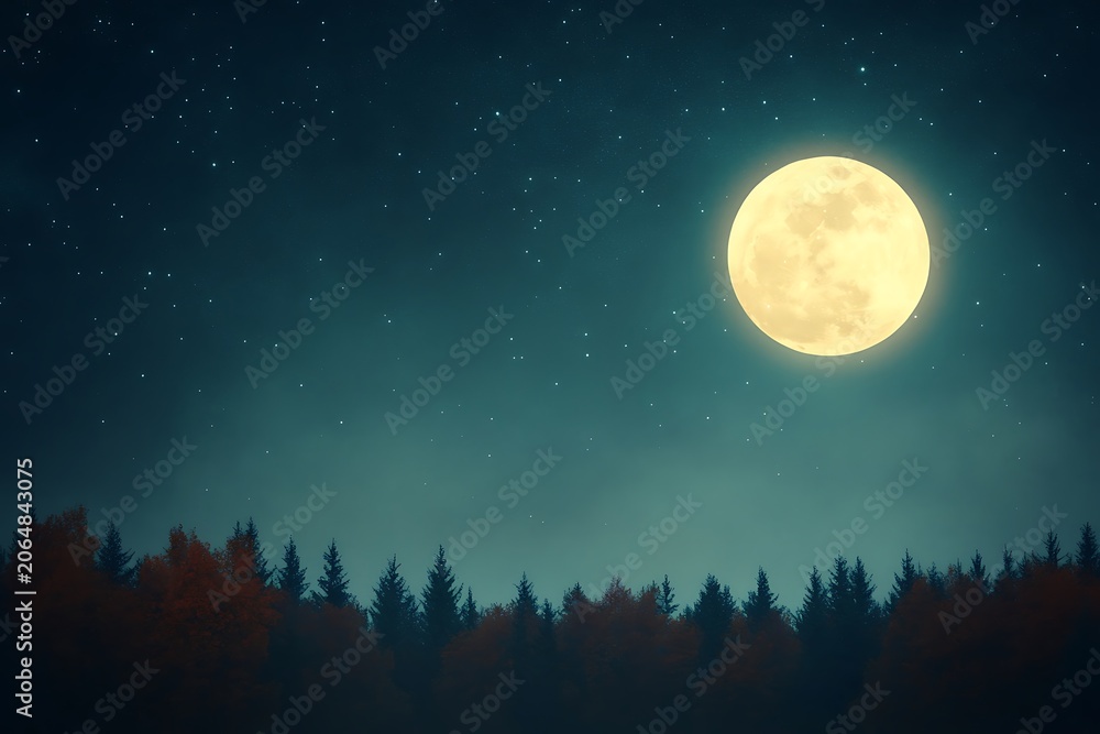 Fototapeta premium Full moon illuminating a tranquil forest