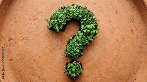 A question mark made of green plants sits on a terracotta plate indoors.
