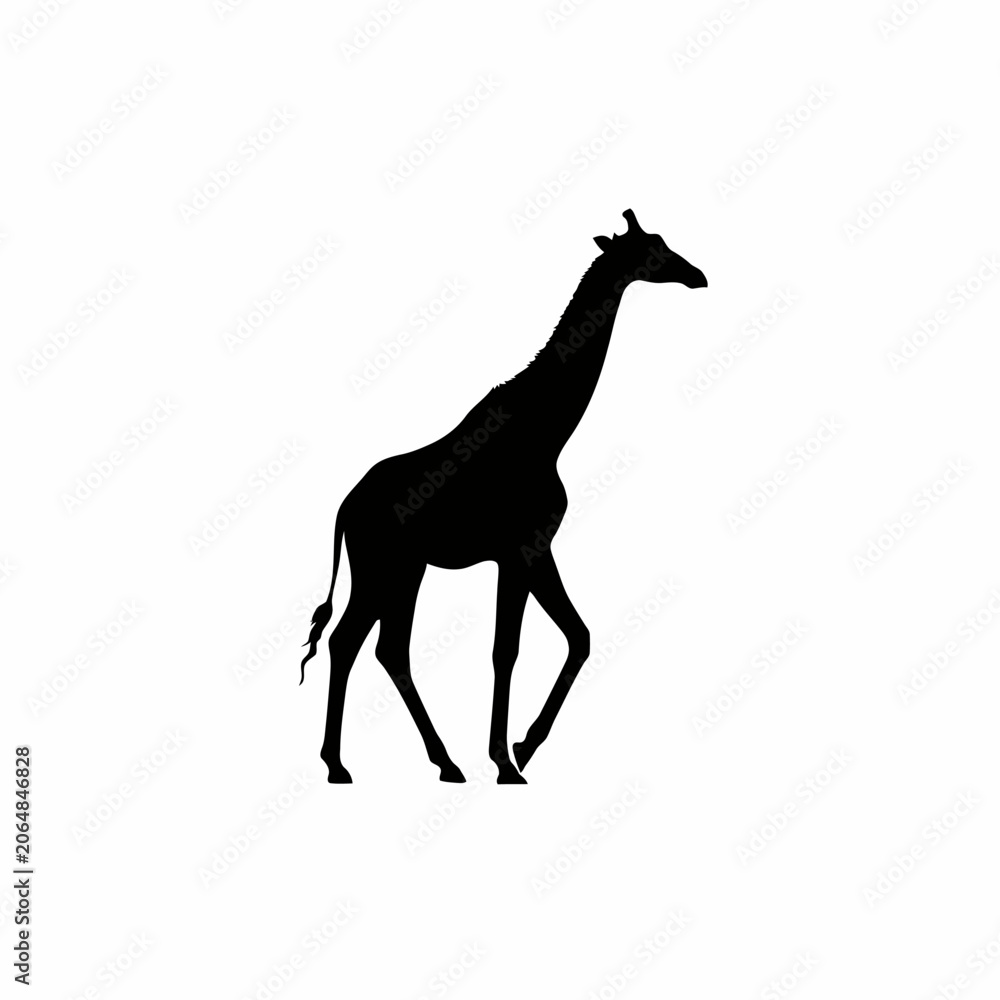 Fototapeta premium giraffe silhouette vector