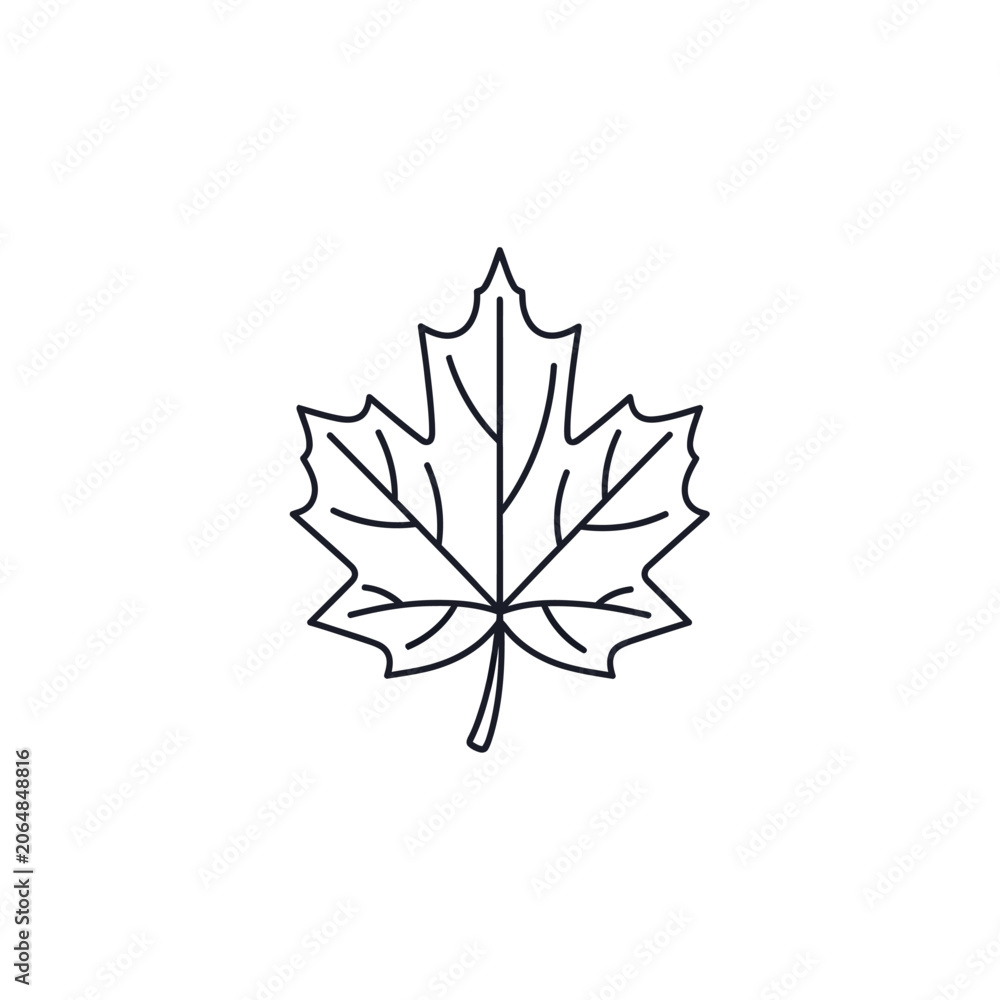 Fototapeta premium Maple Leaf Icon Outline Simple Line Art Vector