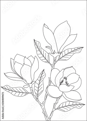Flower coloring Page black and white line art Vector