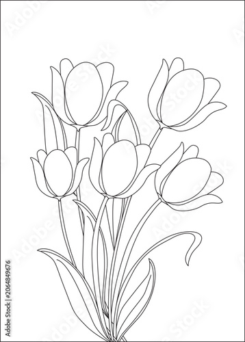 Tulip flower coloring page outline art black and white Vector