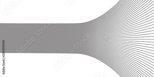 Bild auf Leinwand Abstract Black And White Curved Lines Flowing Into A Futuristic Tunnel With Mini