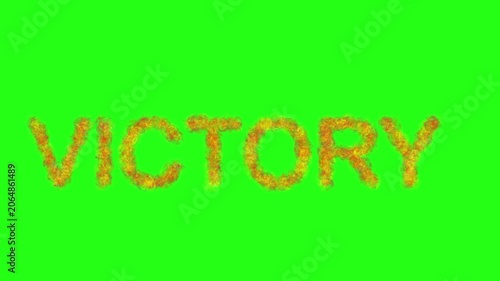 Victory Text Animation with Fire Effect on Green Screen Background for Gaming Win Intro VFX
