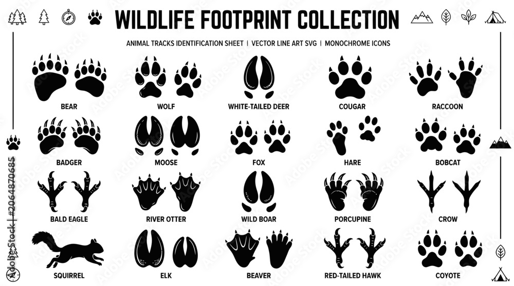 Fototapeta premium Animal footprint tracks identification set for wildlife enthusiasts