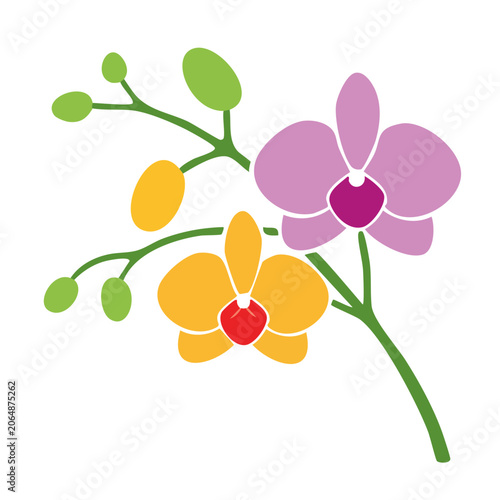 Flat Design Orchid Flowers with Buds and Leaves