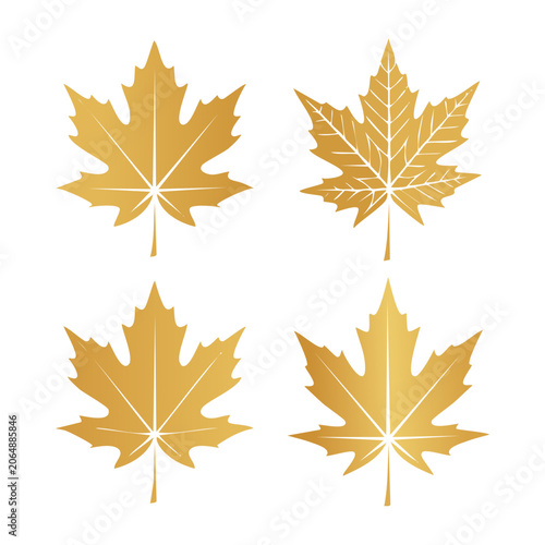 Four golden maple leaves in flat design