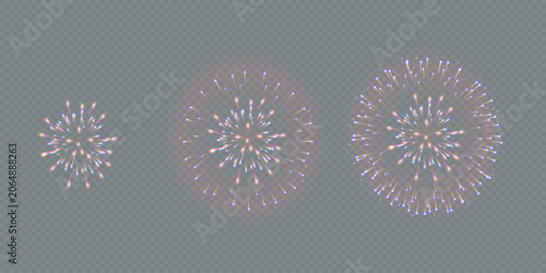 Vector Brightly Colorful Fireworks on the background of the night sky.