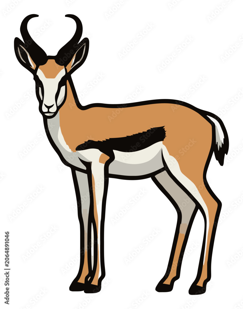 Fototapeta premium Springbok Front View Flat Vector Illustration. Generative AI