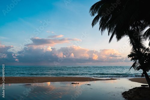 Tropical beach sunrise with palm tree silhouette and water reflection.