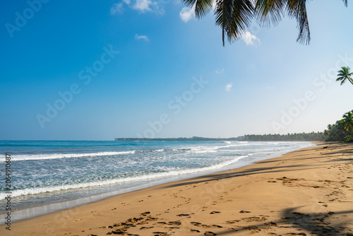 Tropical sandy beach with ocean waves and palm tree framing.