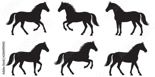 Photos Horse Vector Set in Different Poses Isolated Farm Animal Silhouette Collection