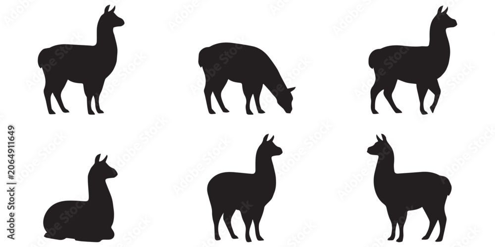 Fototapeta premium Llama Vector Set in Different Poses Isolated Farm Animal Silhouette Collection
