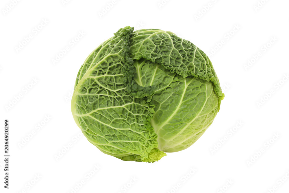 Fototapeta premium Cabbage sits on a clean surface, ready for use, isolated, PNG