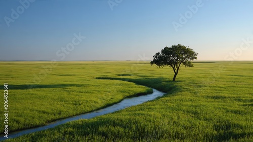 Solitary tree in vast green meadow with winding stream under clear sky