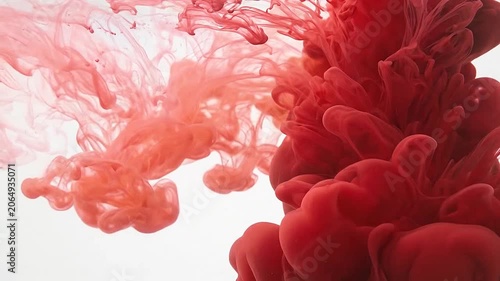 Abstract red ink swirling in water against a white background