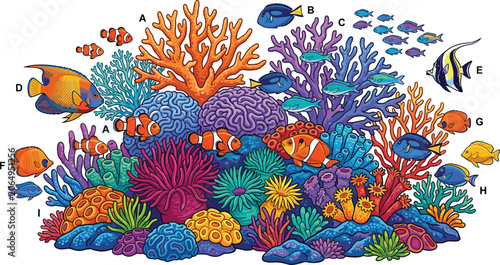 Photos Vibrant Underwater Coral Reef Vector Illustration Featuring Colorful Marine Life