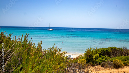 Sailboat on turquoise sea with green coastal plants in foreground