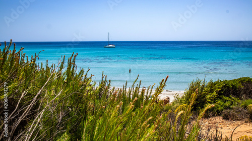 Sailboat on turquoise sea with green coastal plants in foreground