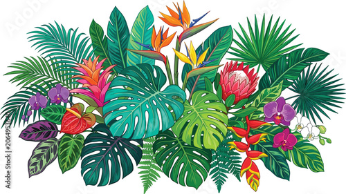 Foto Vibrant Tropical Floral Arrangement Vector Featuring Exotic Flowers Bird of Para