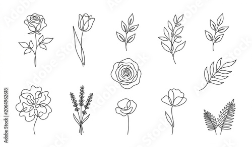 Continuous Line Flower Set Minimal Botanical One Line Drawing Plants Vector Black Isolated Illustration