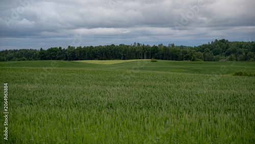 Canvas-taulu Green Crop Field and Rural Farmland Landscape Under Overcast Sky