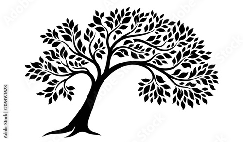 Decorative Curved Branch Tree Silhouette Elegant Leafy Canopy Vector Black Isolated Illustration