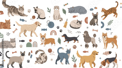 Photos Cute cats and dogs cartoon collection with pet accessories, playful animals, vet