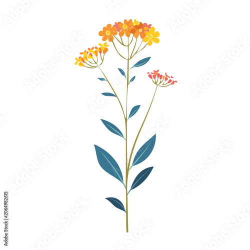 Colorful wildflower branch illustration