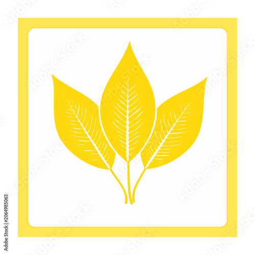 Three Yellow Leaves Icon on White Background