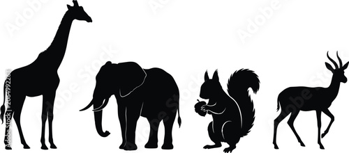 Photography Collection of diverse animal silhouettes featuring a giraffe elephant squirrel a