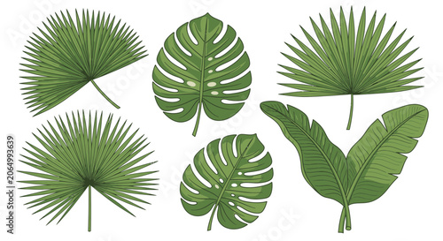 Set of green tropical leaves vector illustration for design