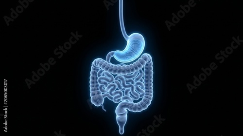 Obraz na płótnie Glowing digestive system 3d render