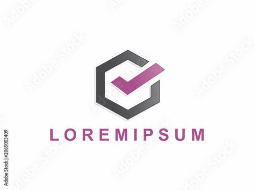 Professional geometric branding layout featuring a dark grey hexagon framing a prominent pink checkmark symbol, conveying data protection, verified tasks, and corporate quality.