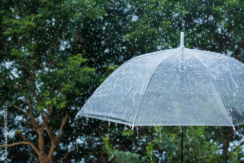 Fotografía Clear umbrella in heavy rainfall with splashing raindrops, rainy season weather, storm protection and climate change concept