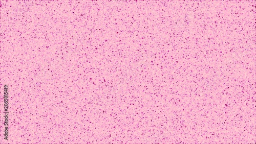 Fotografía pink sponge texture