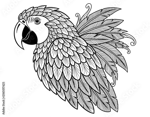 Macaw parrot portrait with ornamental feathers line art, detailed tropical bird head illustration for adult coloring book, black and white sketch isolated on white